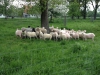 foto-12-05-13-17-49-05