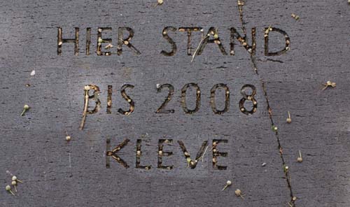 Wenn man Ernst machen würde... Bodenplatte