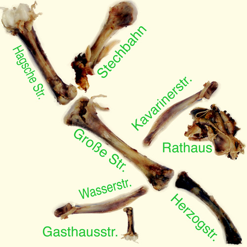 Kleve geht auf die Knochen Stadtplan
