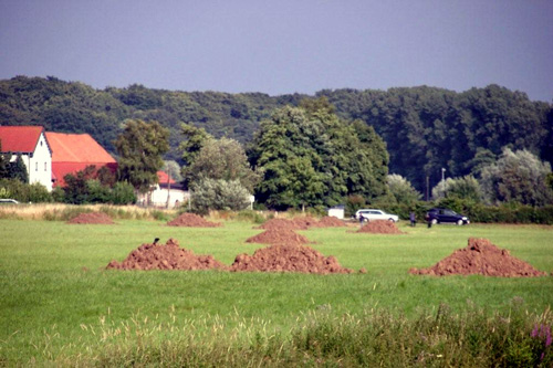 Die Natur schlägt zurück Landschaft