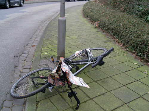 Schwerste Verwüstungen Sturmschäden